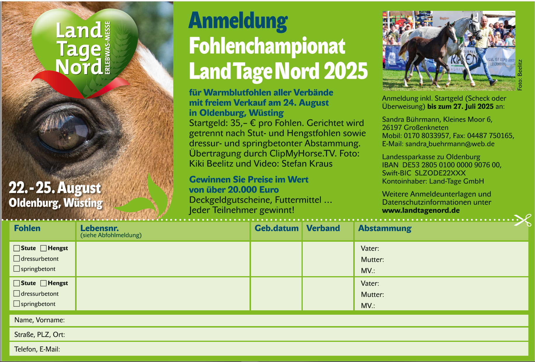 2025 Anmeldung Fohlenchampionat