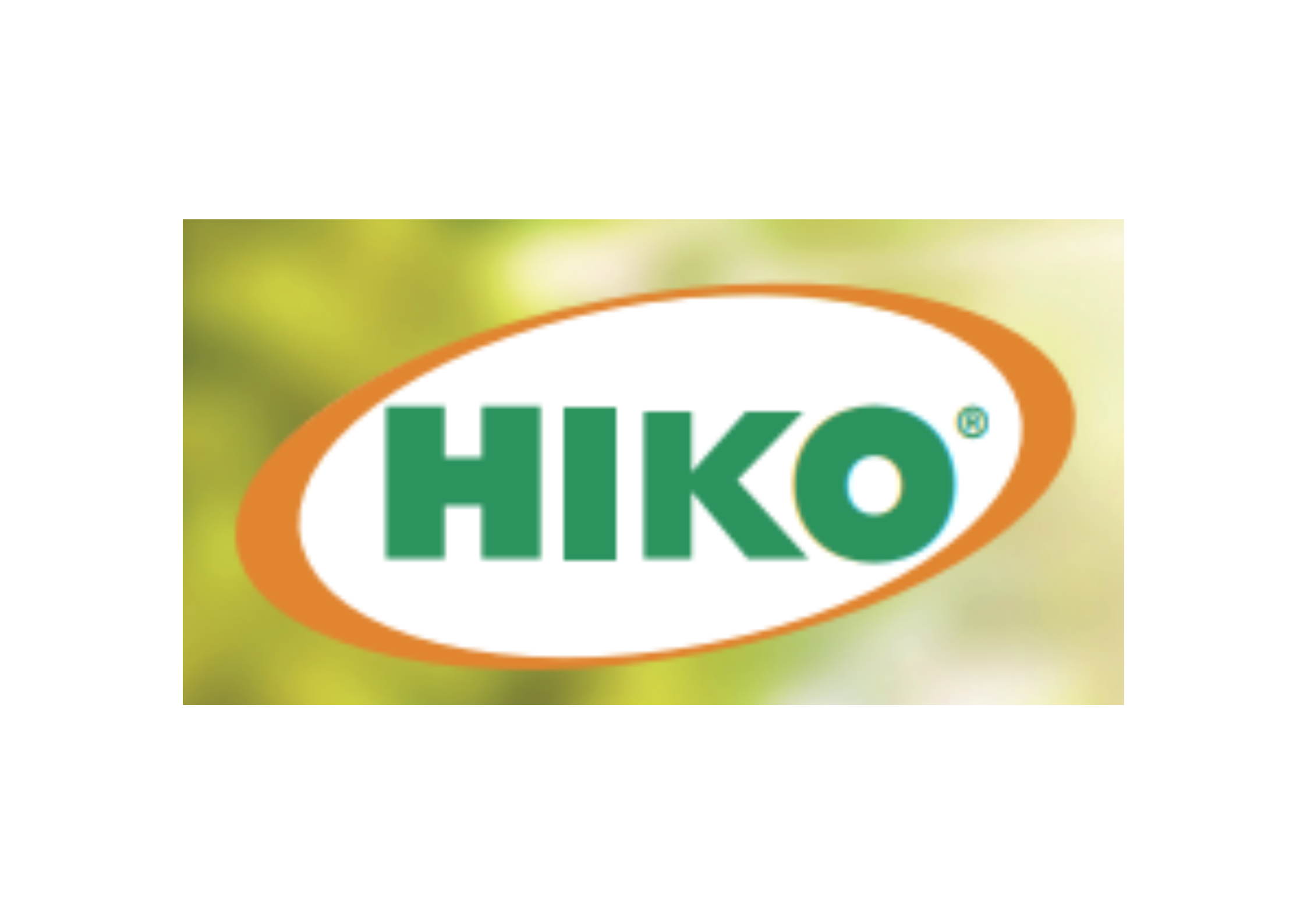 Logo Bild Hiko