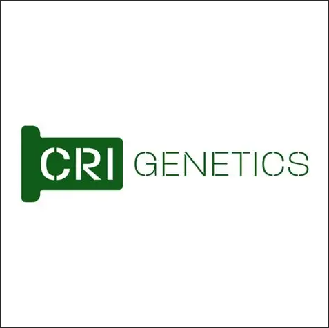 Logo Logo 2