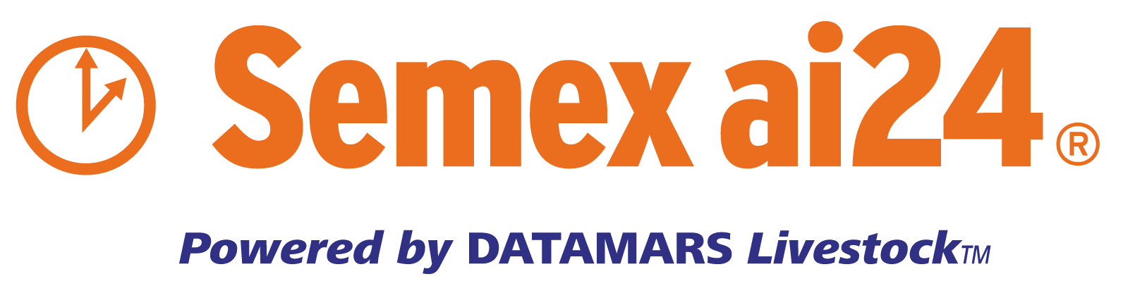 Semexai24logo datamarsHOR 1 Kopie