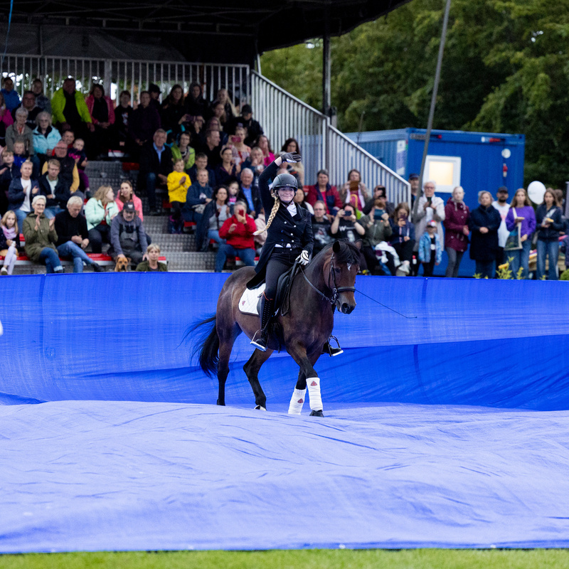 thomashellmannreitsport TH Show Yvonne Gutsche 11099 S max. 800px kommerz. Nutzung fA¼r Social Media bb68a6e6