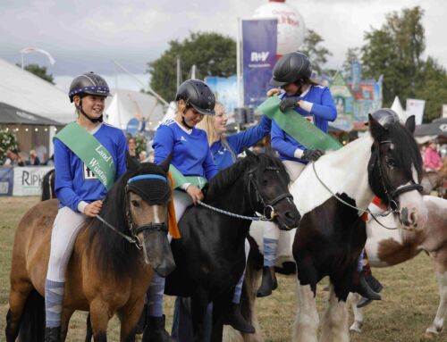 Ergebnisse der Ponyspiele