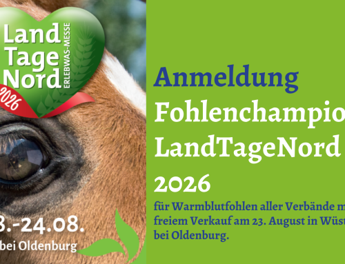 Anmeldeformular zum Fohlenchampionat 2026