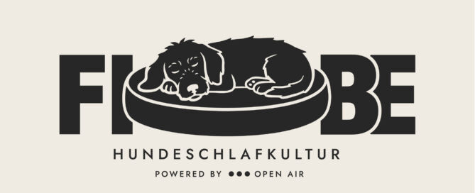 FIBE Logo Horizontal Beige