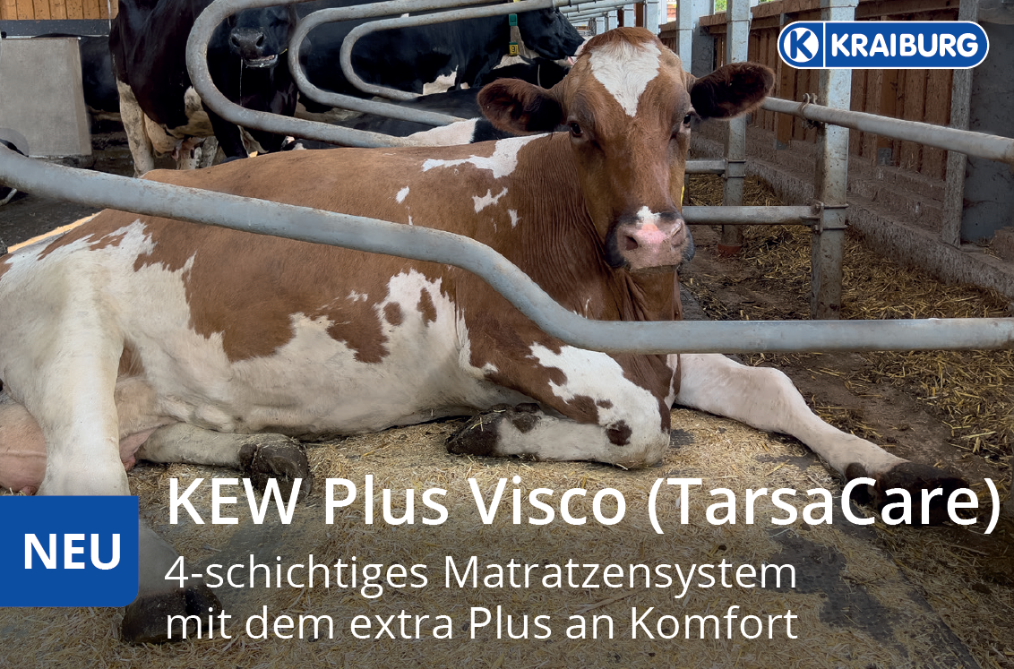 Titelbild