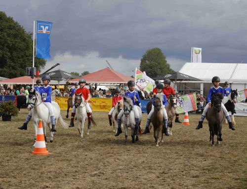 Ponyspiele