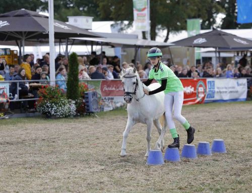 Ergebnisse Ponyspiele LandTageNord 2026