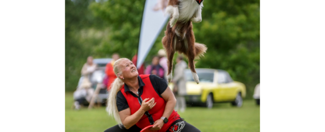Dogfrisbee