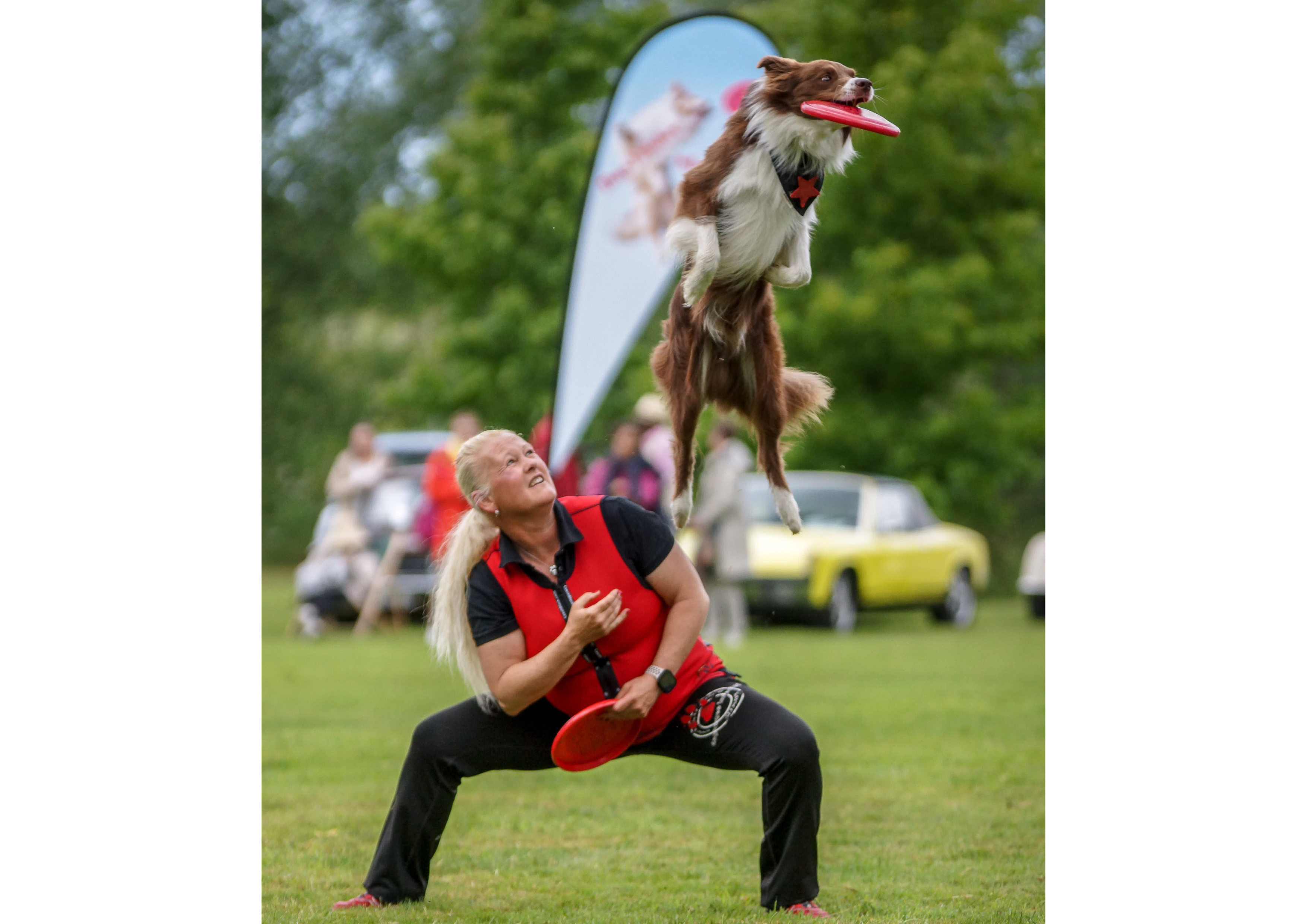 Dogfrisbee