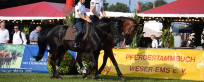 Polizeireiterstaffel e1787141001274