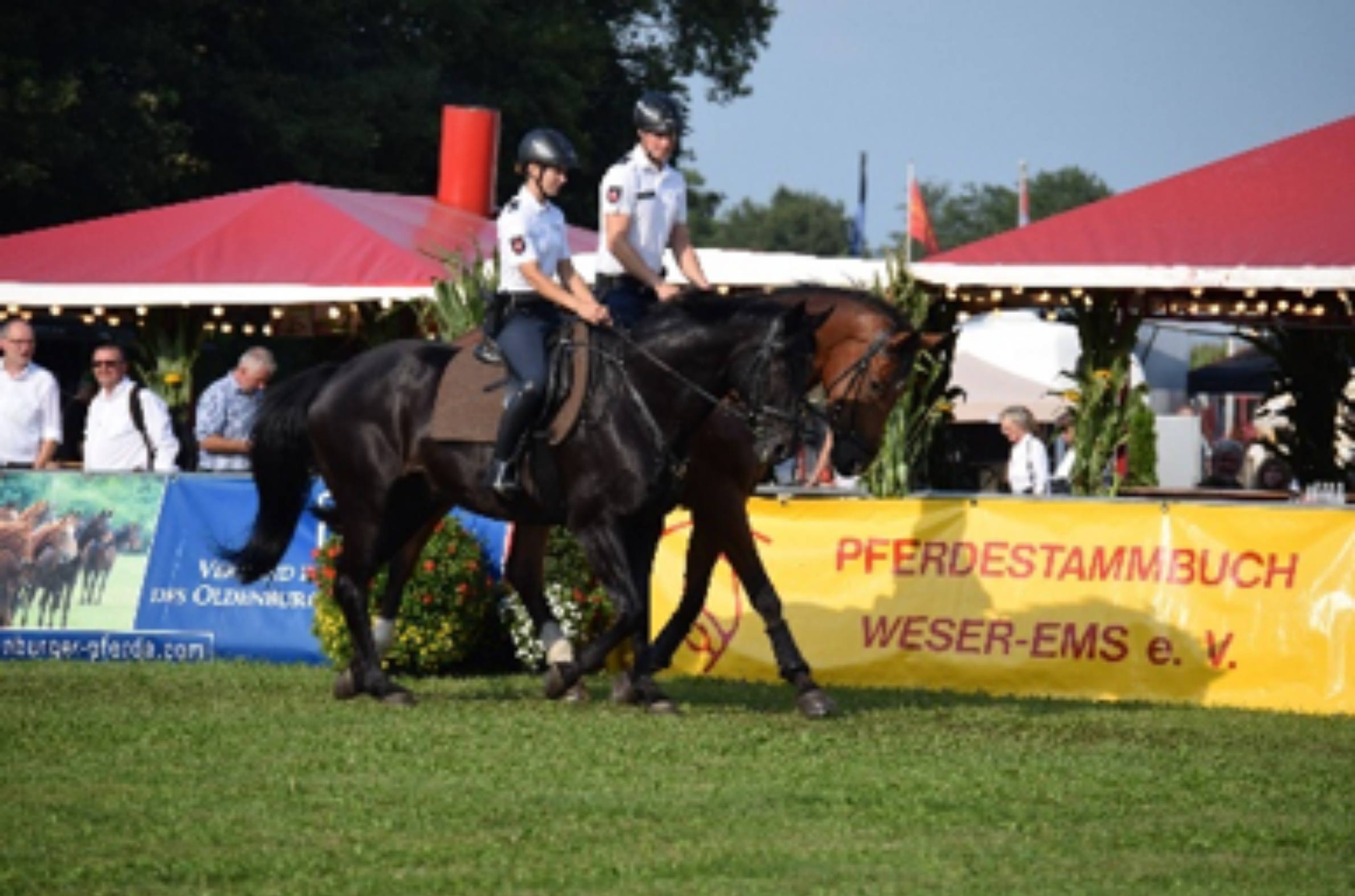 Polizeireiterstaffel e1787141001274